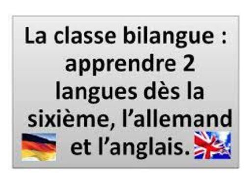 classe bilangue.jpg